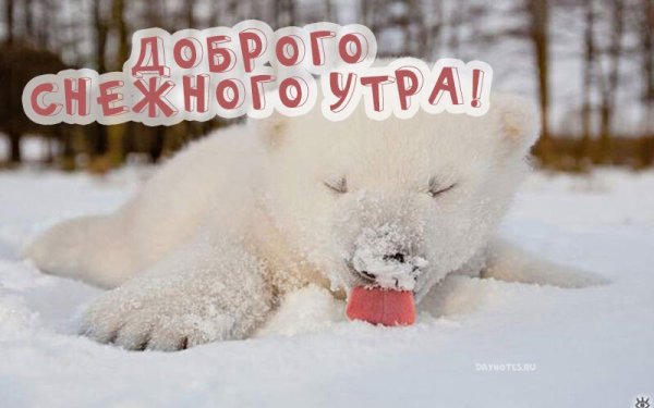 С добрым снежным утром