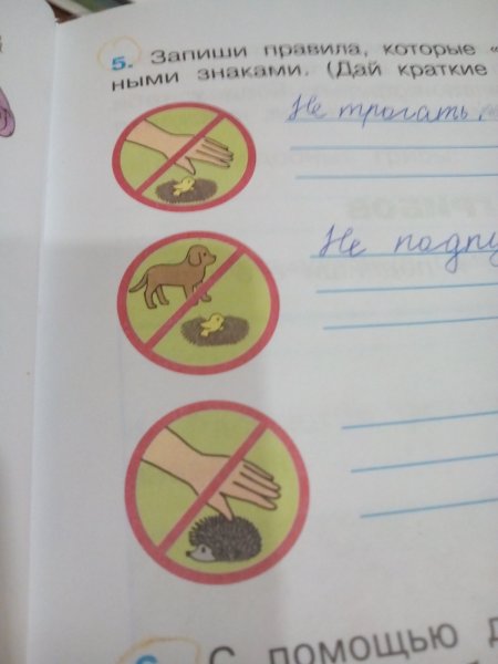 Условные знаки окружающий мир 3 класс