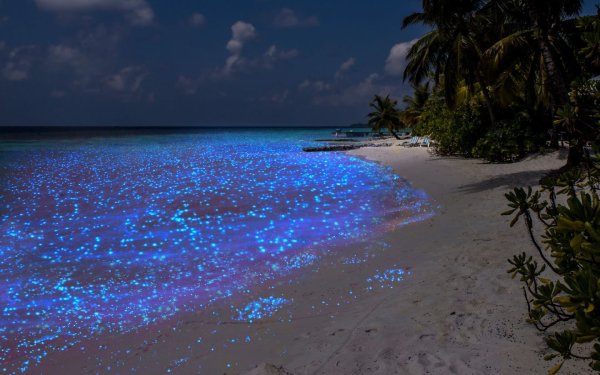 Остров Ваадху Мальдивы