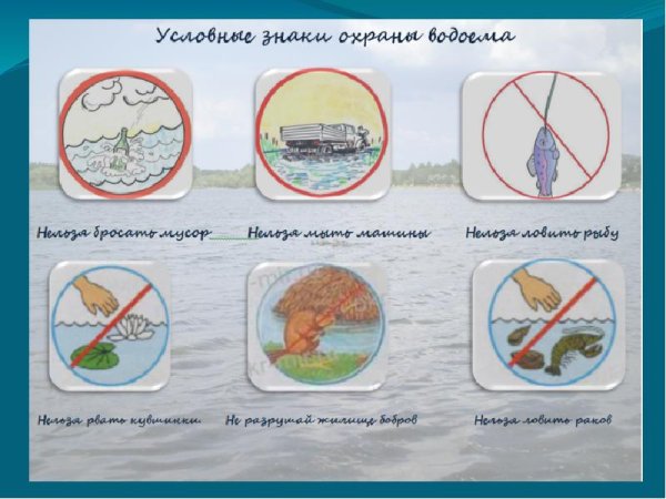 Знаки охраны водоемов