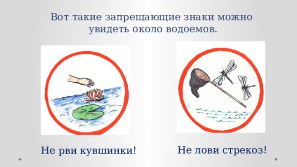 Знаки поведения у водоема