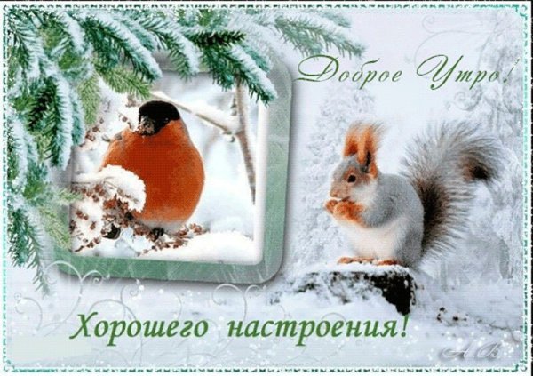 Морозного дня и хорошего настроения