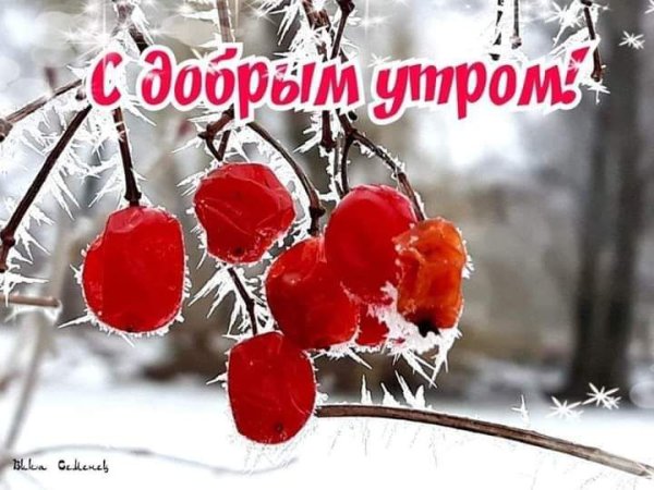 Доброе зимнее утро с фруктами