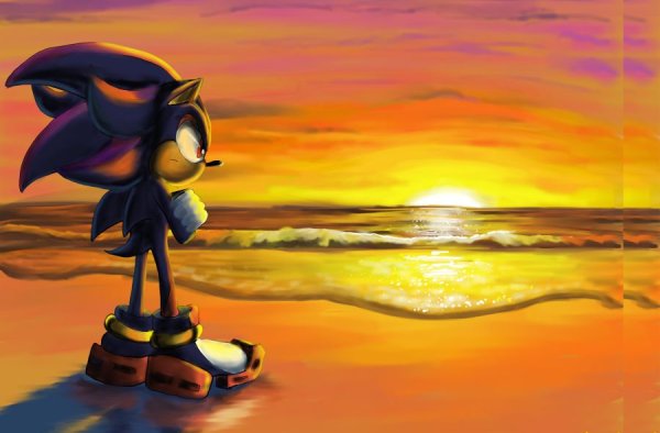 Шедоу и Соник на пляже