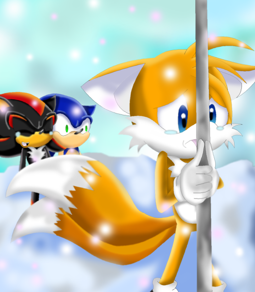 Соник и Тейлз шип