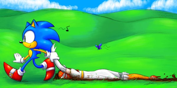 Соник в носках