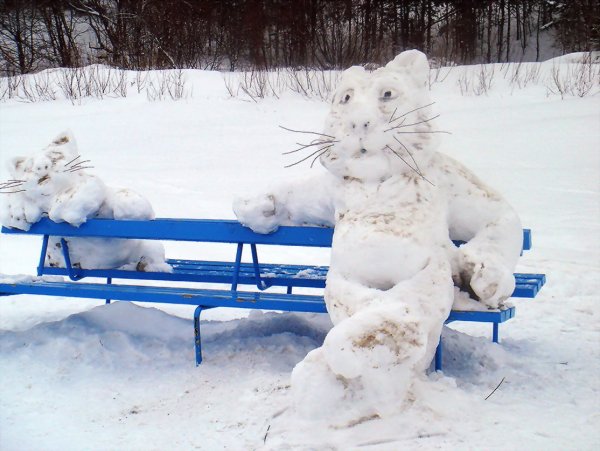 Зимние приколы