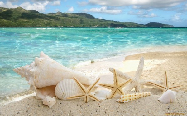 Весы Kelli KL-1523