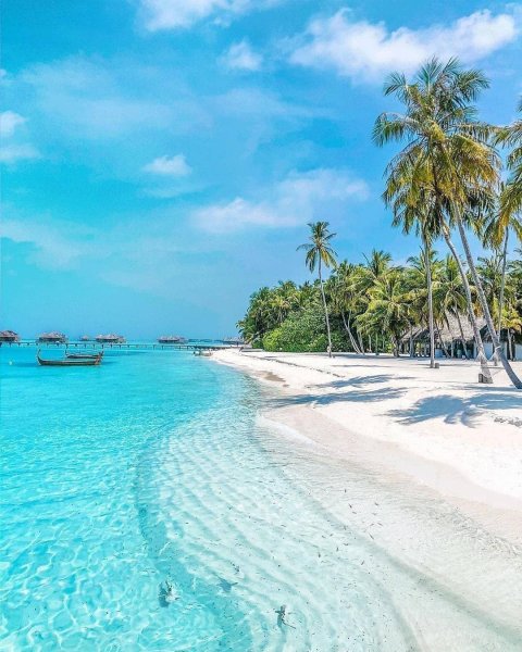 Танзания Занзибар море