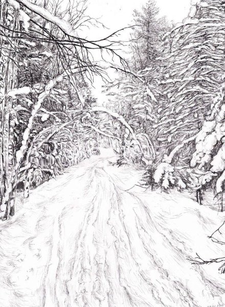 Зимний лес карандашом