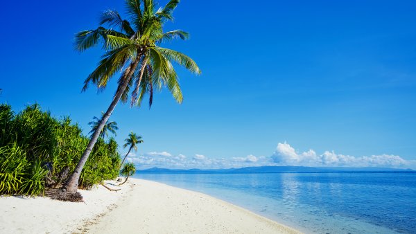 Тропический пляж
