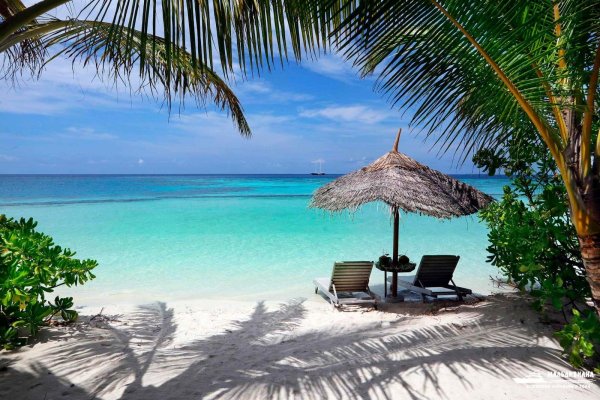 Gangehi Island Resort 5*
