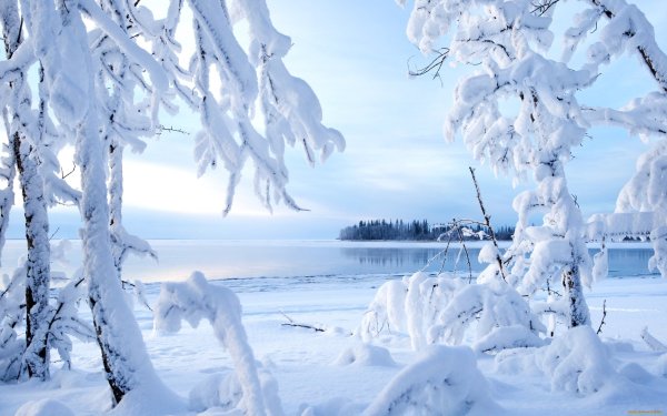 Зимний пейзаж светлый