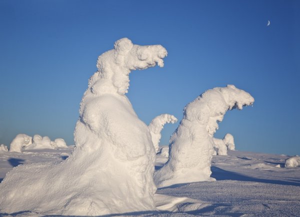 Чудеса зимней природы