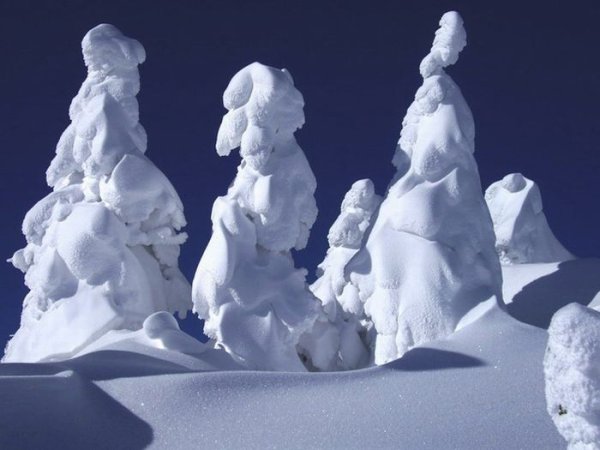 Снежные причуды природы