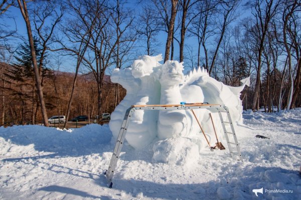 Снеговая парк Владивостоке