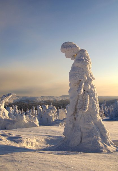 Чудеса зимней природы