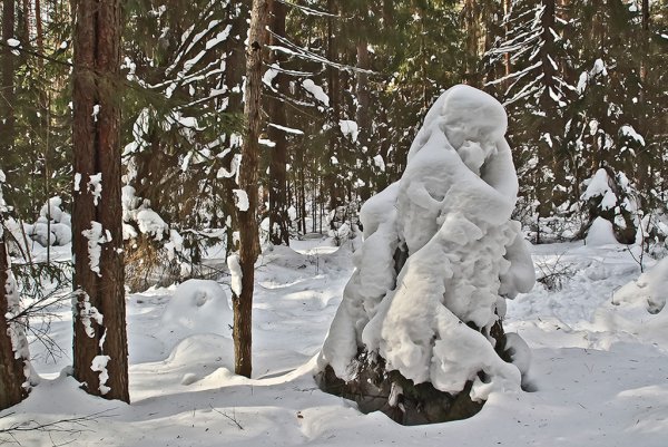 Снежные скульптуры в лесу