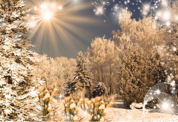 Волшебная зима