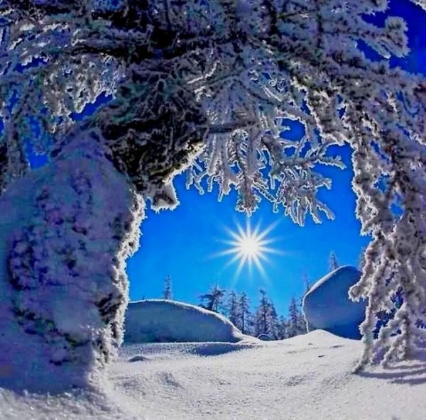 Зимняя ночь