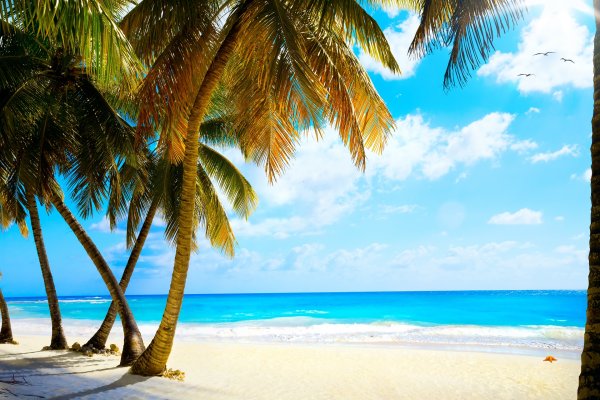 Телевизор hartens HTV-43f011b-t2/PVR/S 43" (2017)