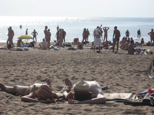 Пляж дюны в Сестрорецке