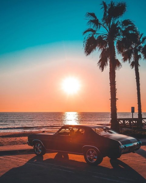 Машина и пальмы