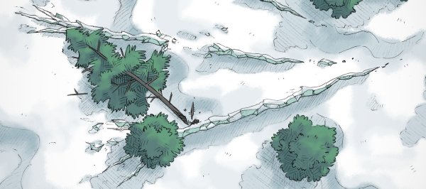 Карты ДНД лес зима