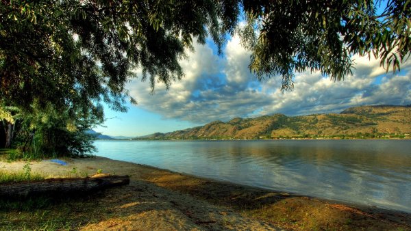 Берег озера