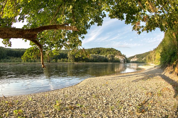 Лето река пляж