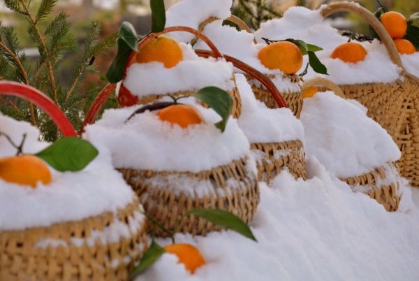 Зимние дары природы