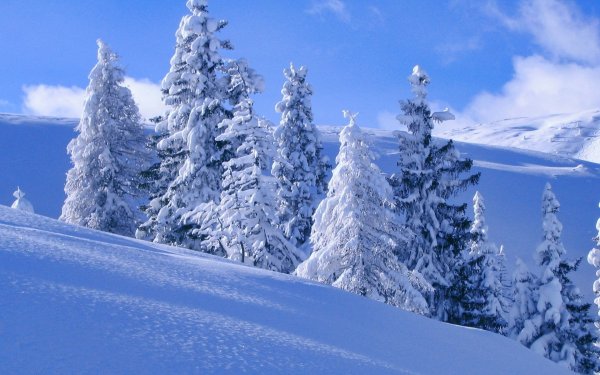 Красивая зима