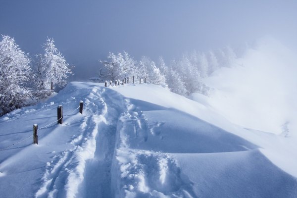 Зима снег