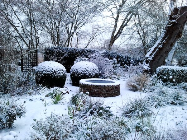 Сад зимой