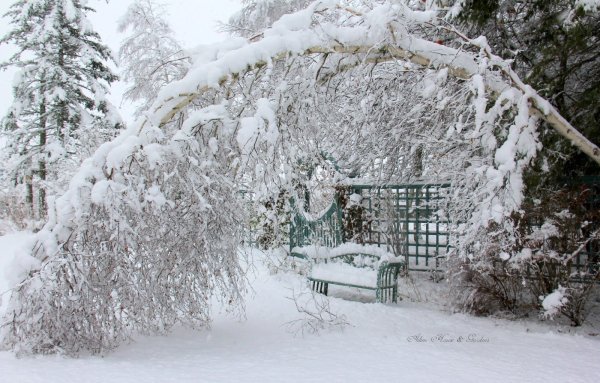 Снежный сад беседка