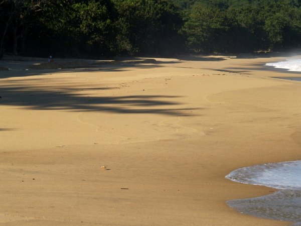 Сделал большой пляж