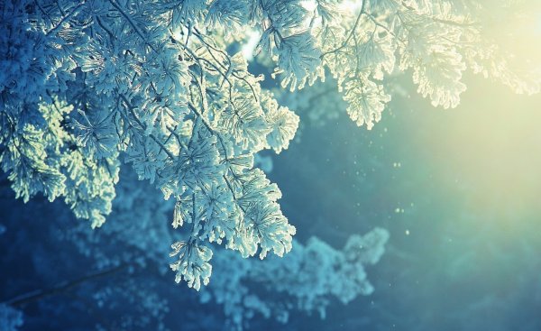 Снежный фон