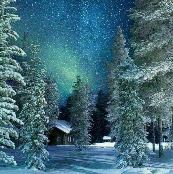 Зимняя ночь