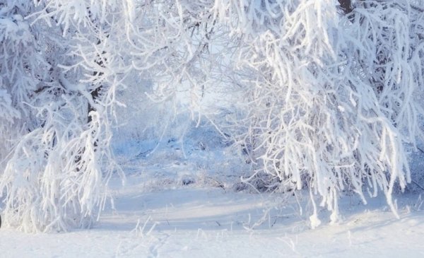 Зима красота волшебство