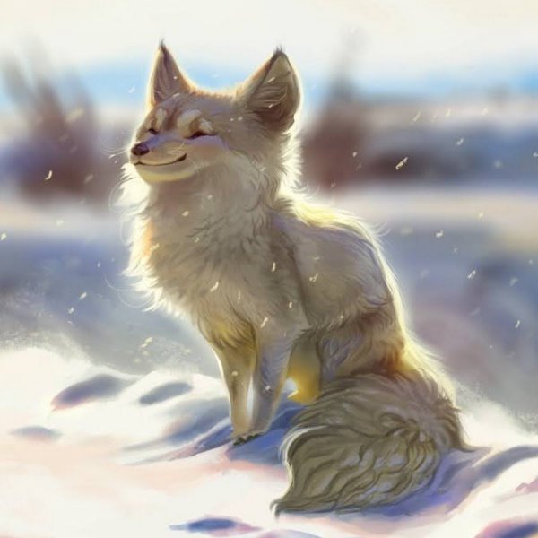 Белая лиса арт