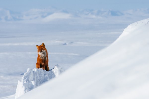 Иван Кислов фотограф