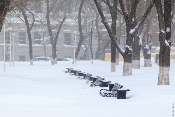 Ростов зима 2014