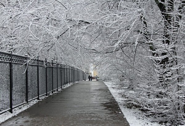 Заснеженный Ростов на Дону
