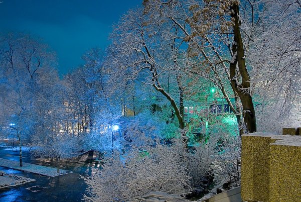 Ростов на Дону зима