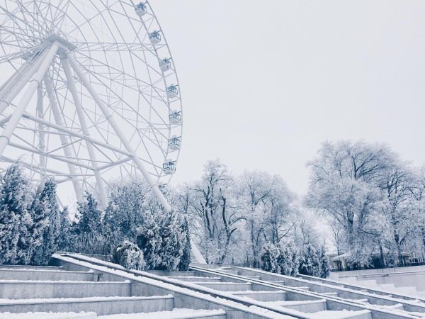 Зима парк революции Ростов