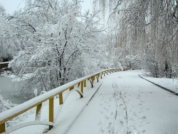 Снежный зимний Ростов-на-Дону