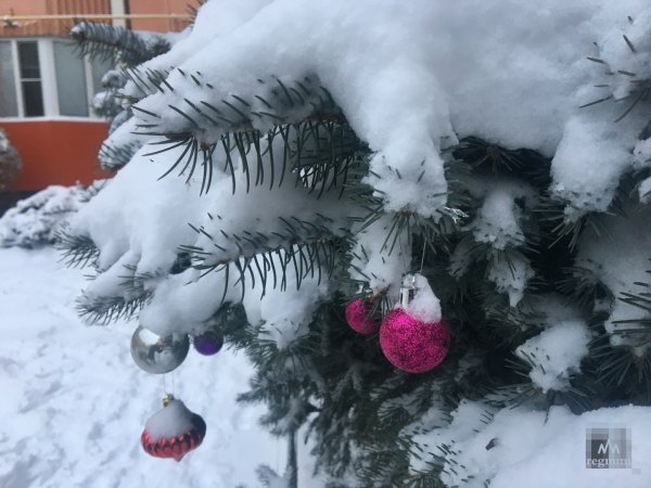 Ростов снег 2022