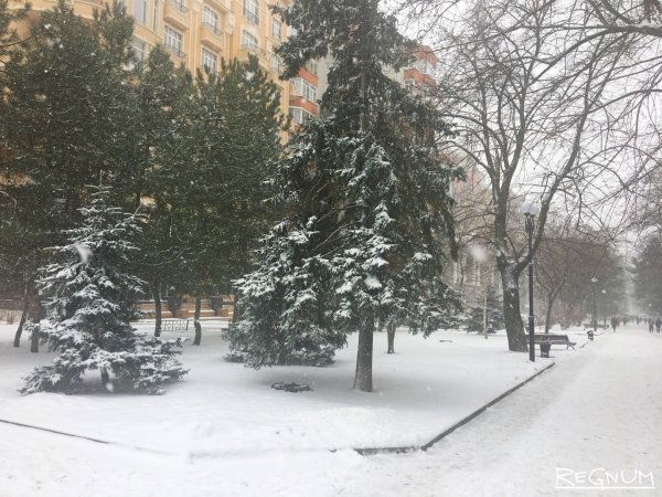 Зима 1986 Ростов-на-Дону