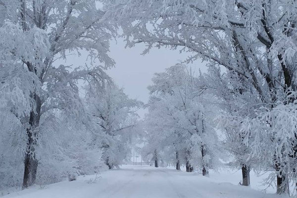 Фото снега на севере Ростовской области в декабре 2021