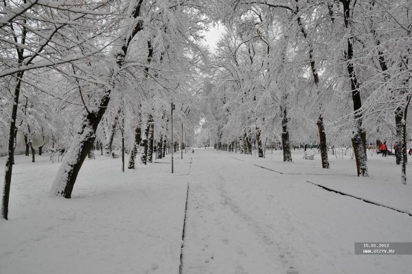 Ростов на Дону зима